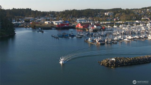 3224 Overlook Loop, Ilwaco, WA 98624 - water view with a marina