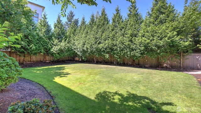 4650 NE 3rd Ln Unit F1, Renton, WA 98059 - view of fenced backyard