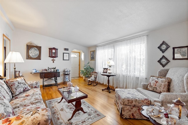 836 Harman Way S Unit 82, Orting, WA 98360 - living room with light wood-style floors and arched walkways