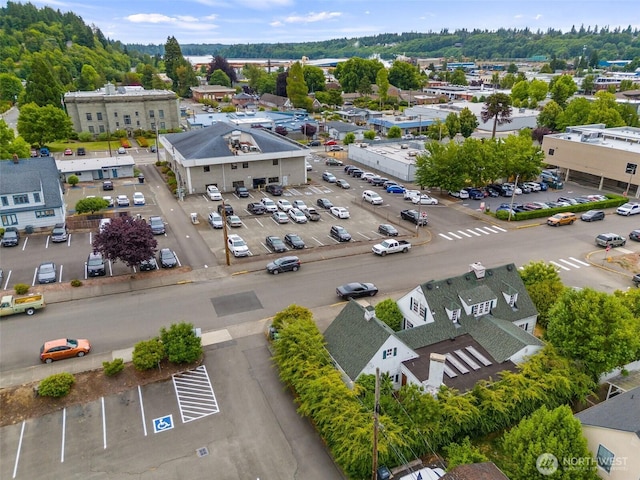 407 N 6th St, Shelton, WA 98584 - photo 38