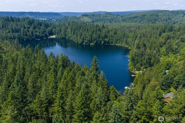 2829 Lake Langlois Rd NE, Carnation, WA 98014 - bird's eye view of a forest and a large body of water