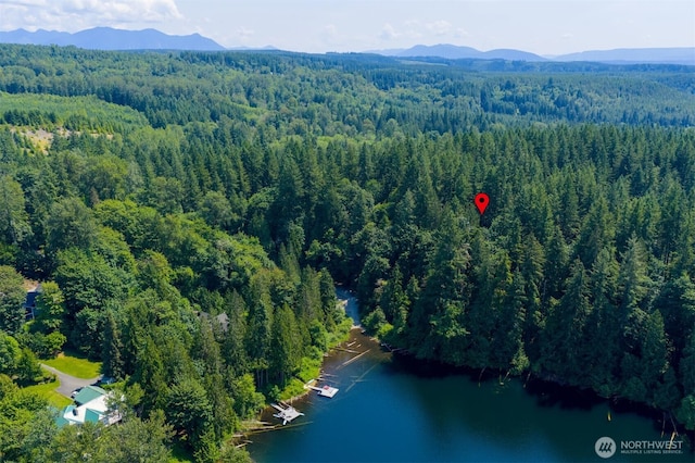 2829 Lake Langlois Rd NE, Carnation, WA 98014 - aerial view of a forest and a water and mountain view