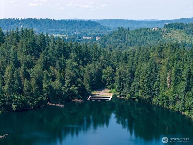 2829 Lake Langlois Rd NE, Carnation, WA 98014 - aerial view of a heavily wooded area and a nearby body of water