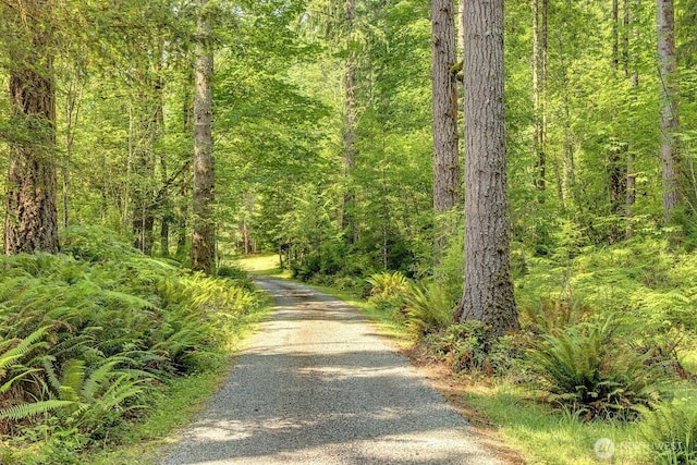 2829 Lake Langlois Rd NE, Carnation, WA 98014 - view of road featuring a view of trees