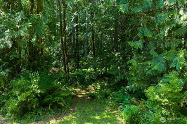 2829 Lake Langlois Rd NE, Carnation, WA 98014 - view of local wilderness