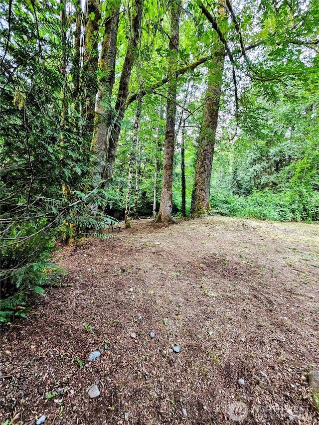 23618 SE Tiger Mountain Rd, Issaquah, WA 98027 - photo 32