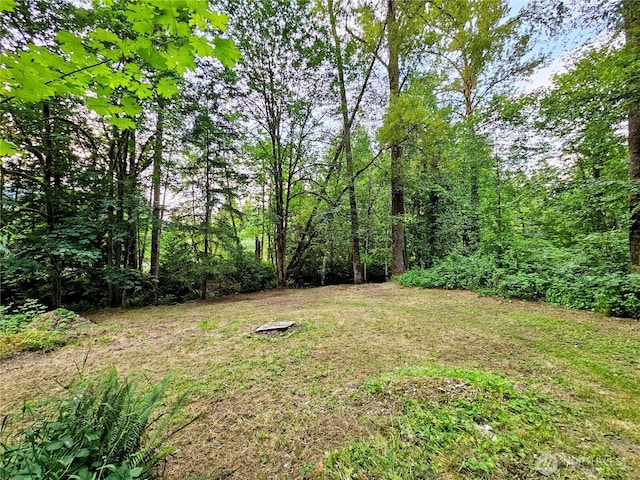 23618 SE Tiger Mountain Rd, Issaquah, WA 98027 - photo 31