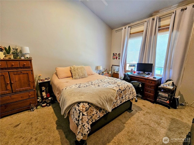 23618 SE Tiger Mountain Rd, Issaquah, WA 98027 - photo 25