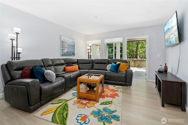 17426 Bothell Way NE Unit A105, Bothell, WA 98011 - living area featuring light wood-type flooring and baseboards