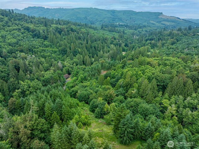 0 Mahaffey Rd, Kelso, WA 98626 - photo 20