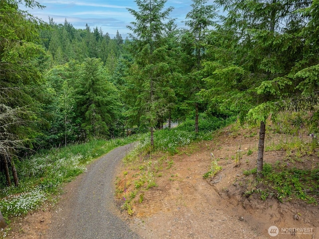 0 Mahaffey Rd, Kelso, WA 98626 - photo 28