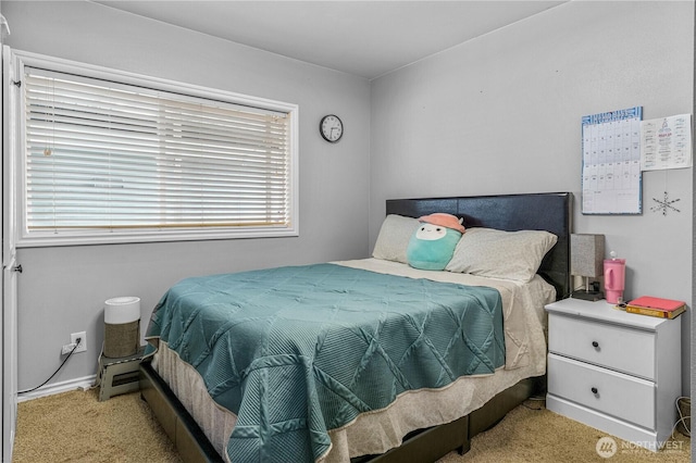 8435 Double Ditch Rd, Lynden, WA 98264 - photo 9