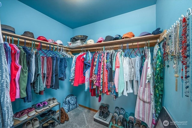 1890 Edgewood Dr, Camano Island, WA 98282 - walk in closet with carpet flooring