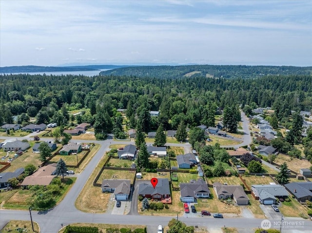 1890 Edgewood Dr, Camano Island, WA 98282 - aerial view of residential area with a forest