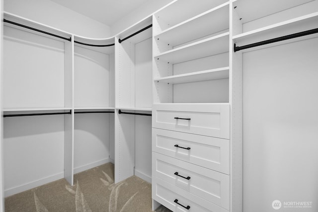 501 11th Ave E, Seattle, WA 98102 - spacious closet with carpet floors