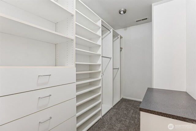 18024 Jordan St SW, Rochester, WA 98579 - photo 19