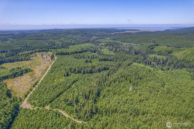 0 Walberg Rd, Ilwaco, WA 98614