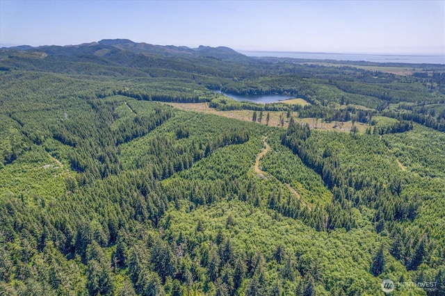 0 Walberg Rd, Ilwaco, WA 98614