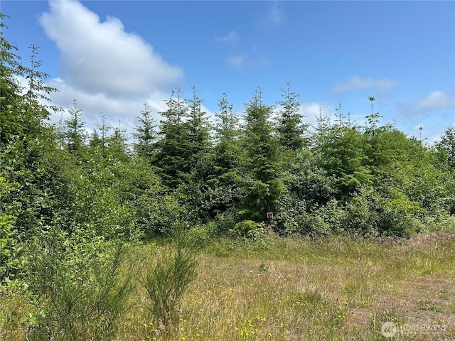 0 Walberg Rd, Ilwaco, WA 98614