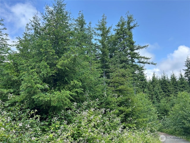 0 Walberg Rd, Ilwaco, WA 98614