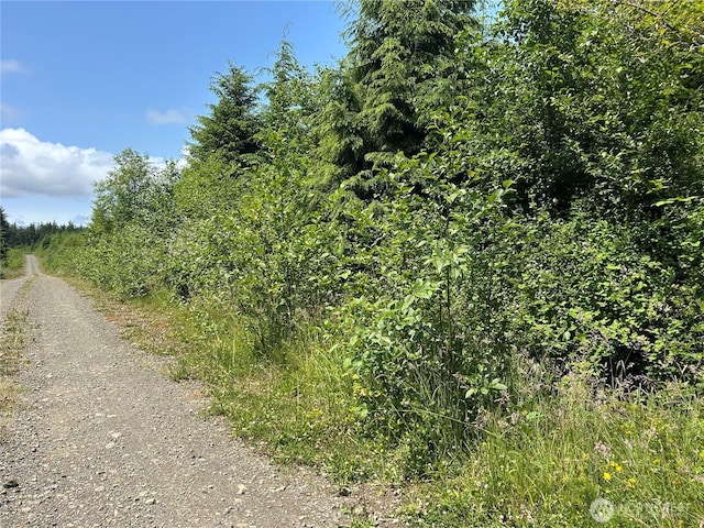 0 Walberg Rd, Ilwaco, WA 98614