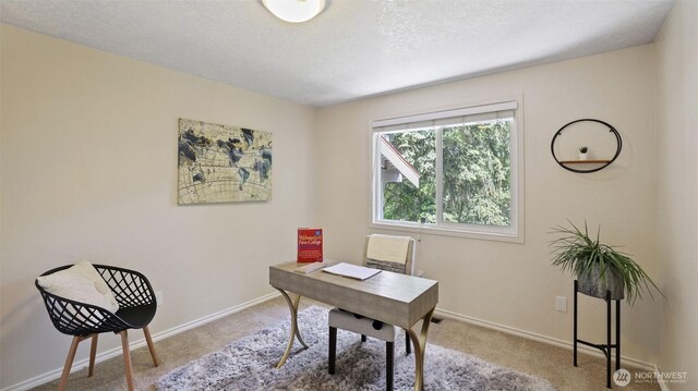 19205 124th Ave SE, Kent, WA 98031 - photo 23