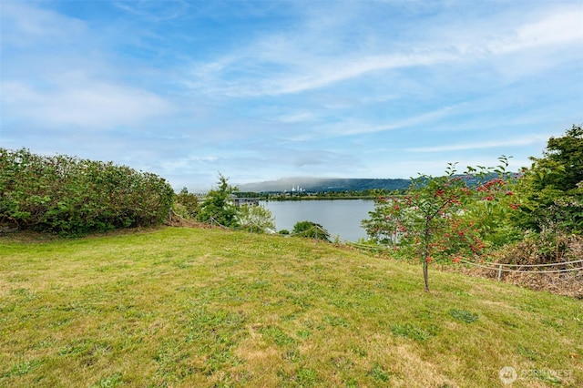 200 Columbia, Cathlamet, WA 98612 - photo 28