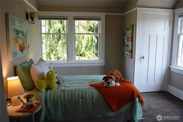 1809 NE 63rd St, Seattle, WA 98115 - view of carpeted bedroom