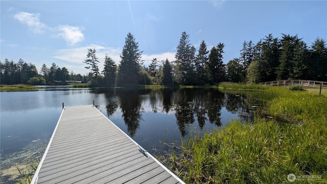 2803 219th St, Ocean Park, WA 98640 - photo 14