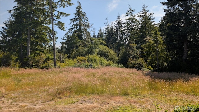 2803 219th St, Ocean Park, WA 98640 - photo 8