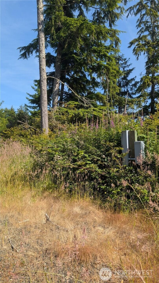 2803 219th St, Ocean Park, WA 98640 - photo 10