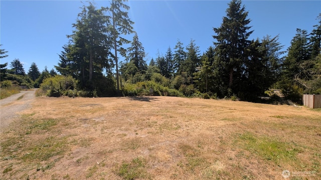 2803 219th St, Ocean Park, WA 98640 - photo 1