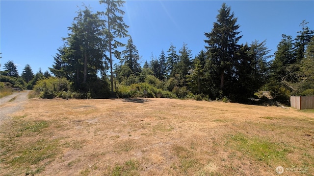 2803 219th St, Ocean Park, WA 98640 - photo 35