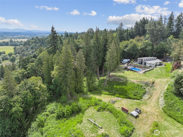 30005 NE 12th Ct, Ridgefield, WA 98642 - view of subject property featuring a heavily wooded area