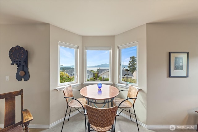 4607 Camano Pl, Anacortes, WA 98221 - dining space featuring baseboards and light colored carpet