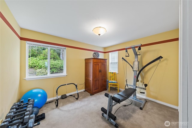 4607 Camano Pl, Anacortes, WA 98221 - workout room featuring healthy amount of natural light and carpet