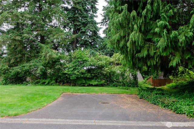 5211 53rd St W, University Place, WA 98467 - view of yard
