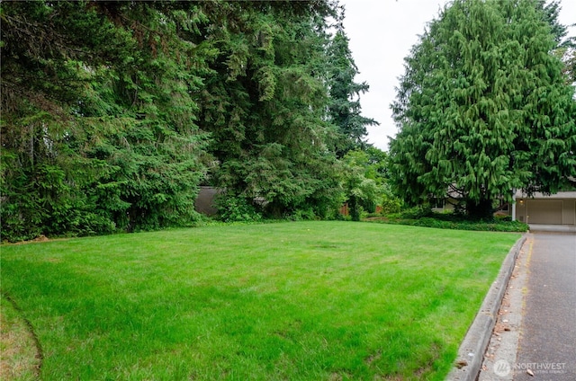 5211 53rd St W, University Place, WA 98467 - view of green lawn with driveway