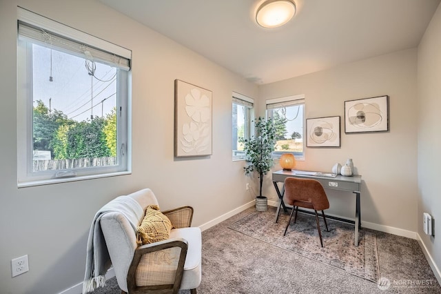 1823 SW 96th Ln, Seattle, WA 98106 - office space with carpet and baseboards