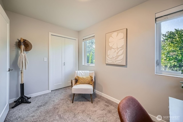 1823 SW 96th Ln, Seattle, WA 98106 - living area with carpet floors and plenty of natural light