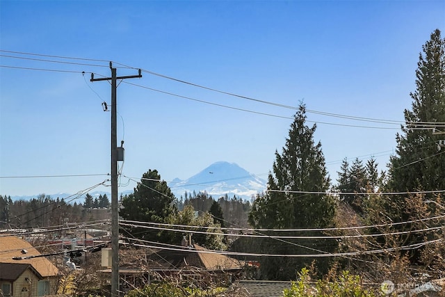 1823 SW 96th Ln, Seattle, WA 98106 - view of road