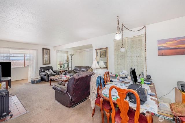 2159 52nd Ave SW, Seattle, WA 98116 - photo 4