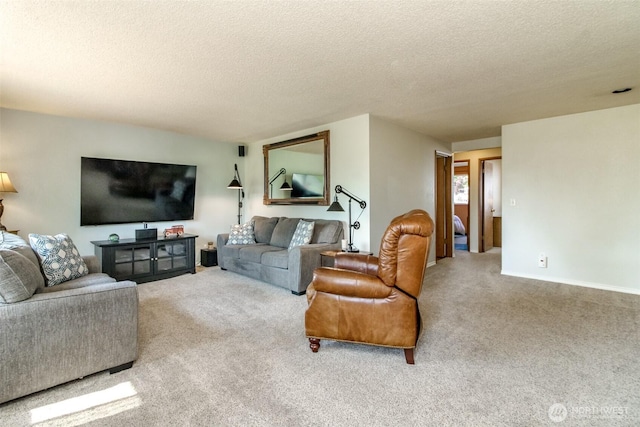 10510 66th Ave E, Puyallup, WA 98373 - living room featuring carpet floors and a textured ceiling