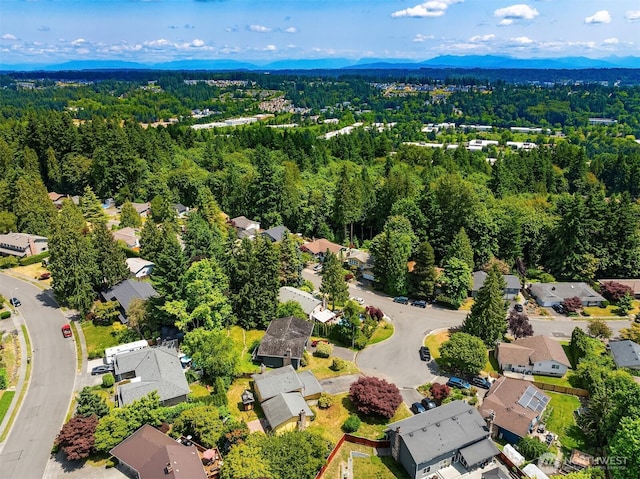 10704 NE 200th Pl, Bothell, WA 98011 - aerial perspective of suburban area with a forest and a mountainous background