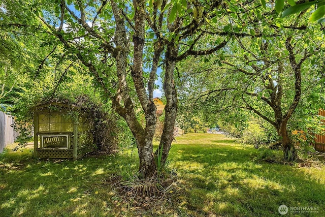 10704 NE 200th Pl, Bothell, WA 98011 - view of yard