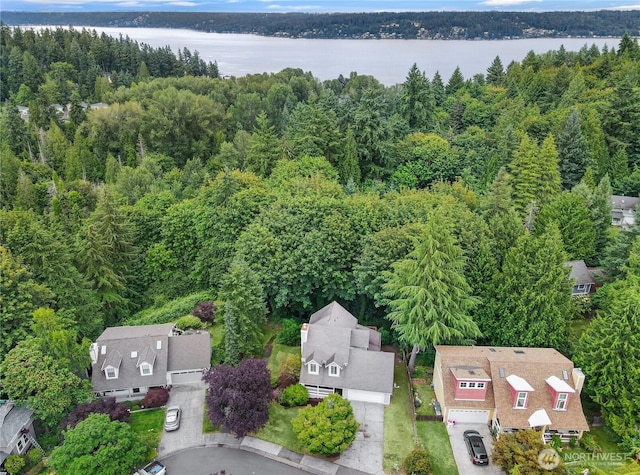 3830 165th Pl SE, Bellevue, WA 98008 - photo 25