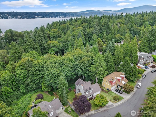 3830 165th Pl SE, Bellevue, WA 98008 - photo 26