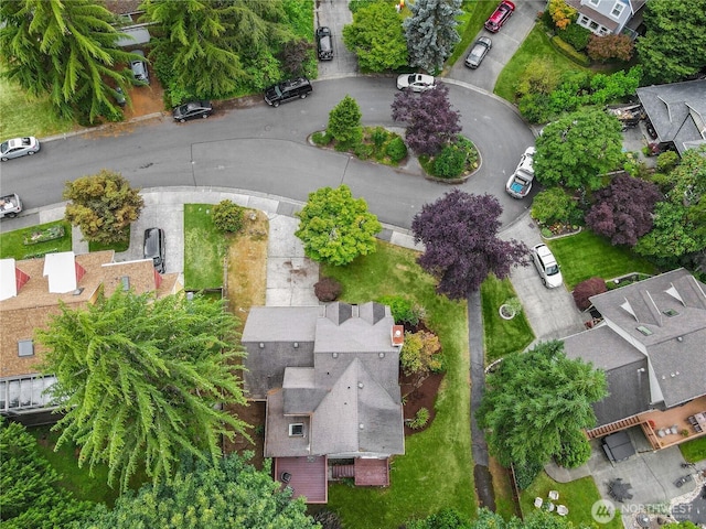 3830 165th Pl SE, Bellevue, WA 98008 - photo 29