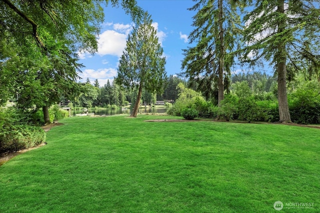 16229 NE Woodinville Duvall Rd, Woodinville, WA 98072 - photo 28