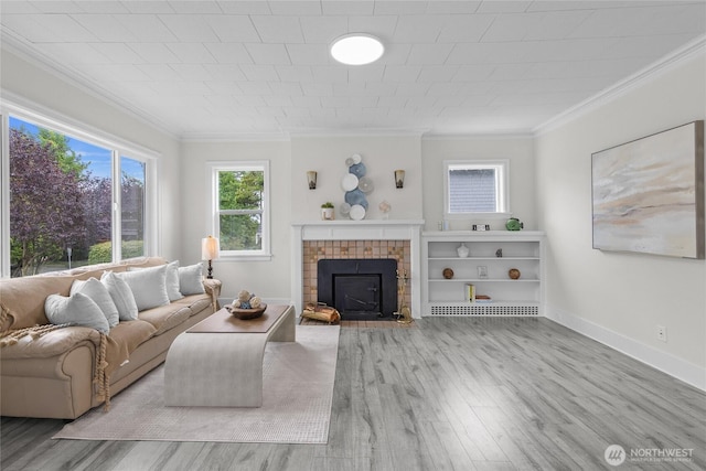 1611 NE 82nd St, Seattle, WA 98115 - photo 9